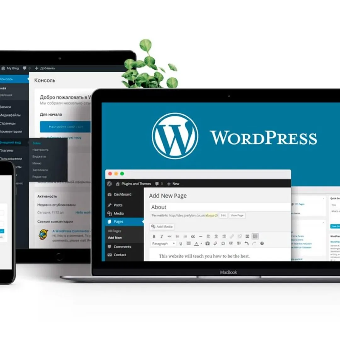 WordPress Development - High-Performance WordPress Development Services & Custom Solutions image